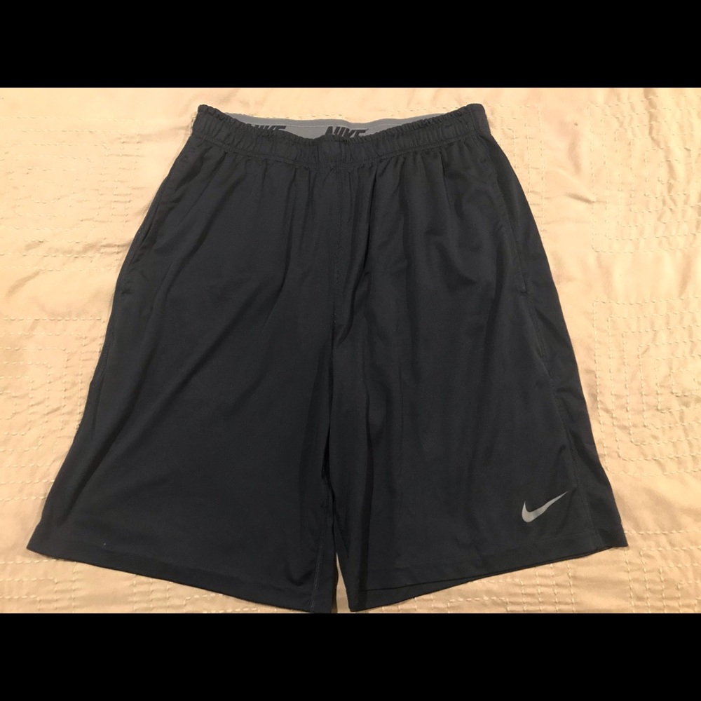 Nike Dri-Fit shorts, Adult Large